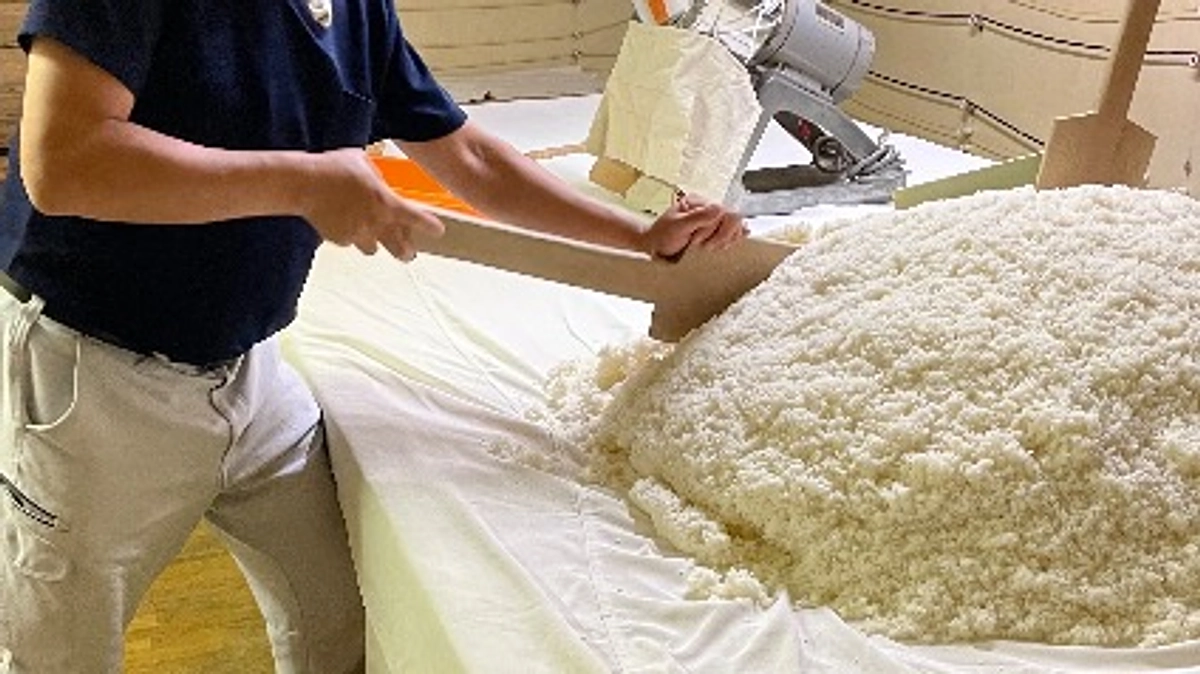 日本酒仕込んでいます