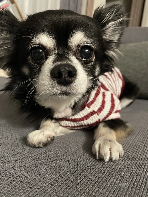 ライブありがとうございました