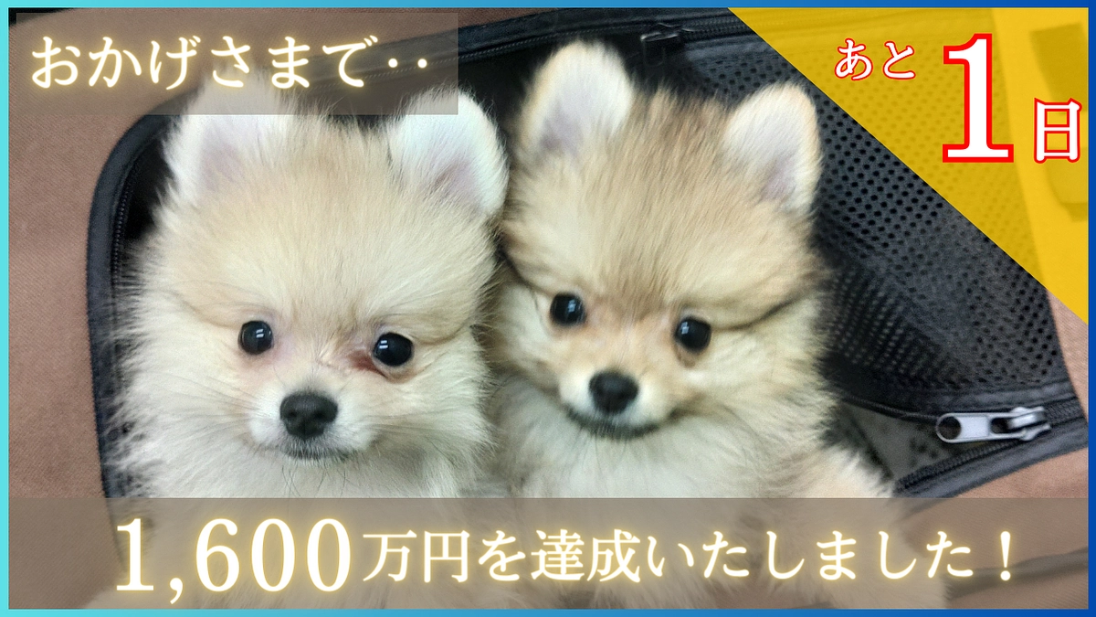 【ついに最終目標達成！】全ての方に心から感謝！そして、今後について