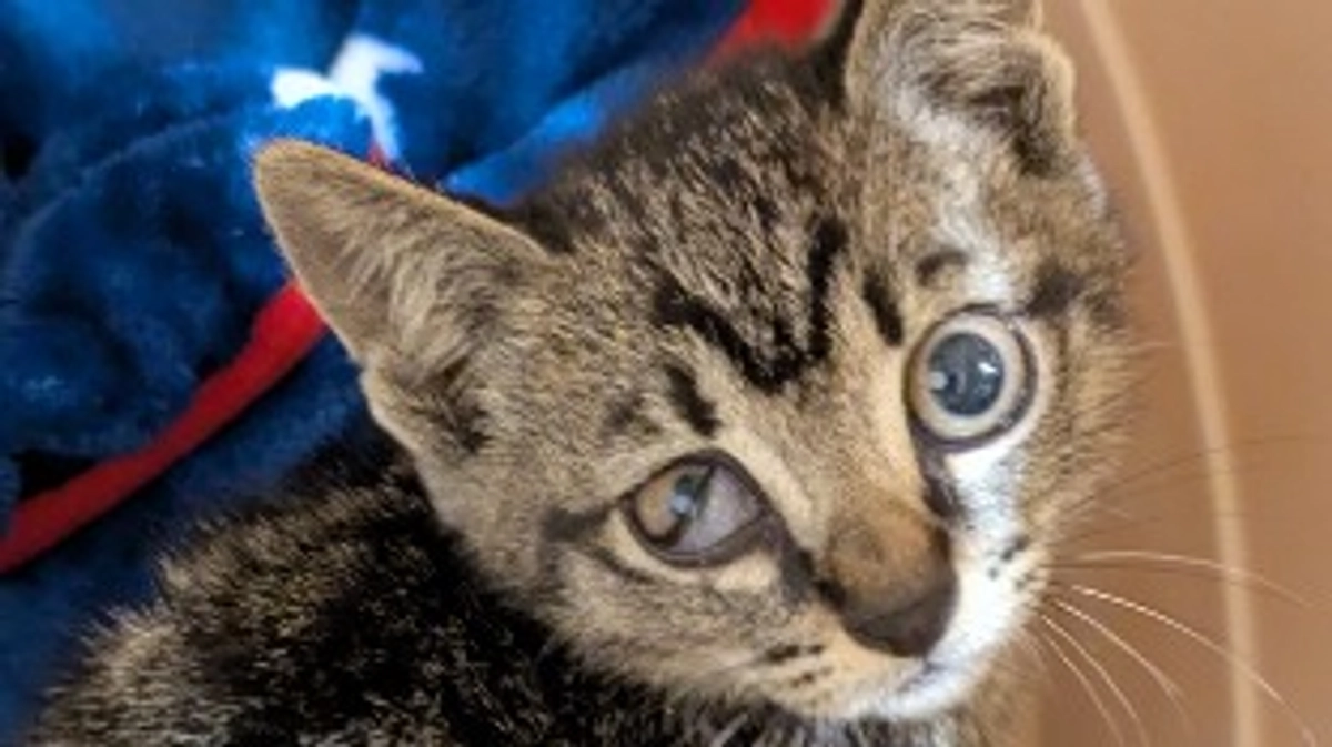 NNNからの派遣?!