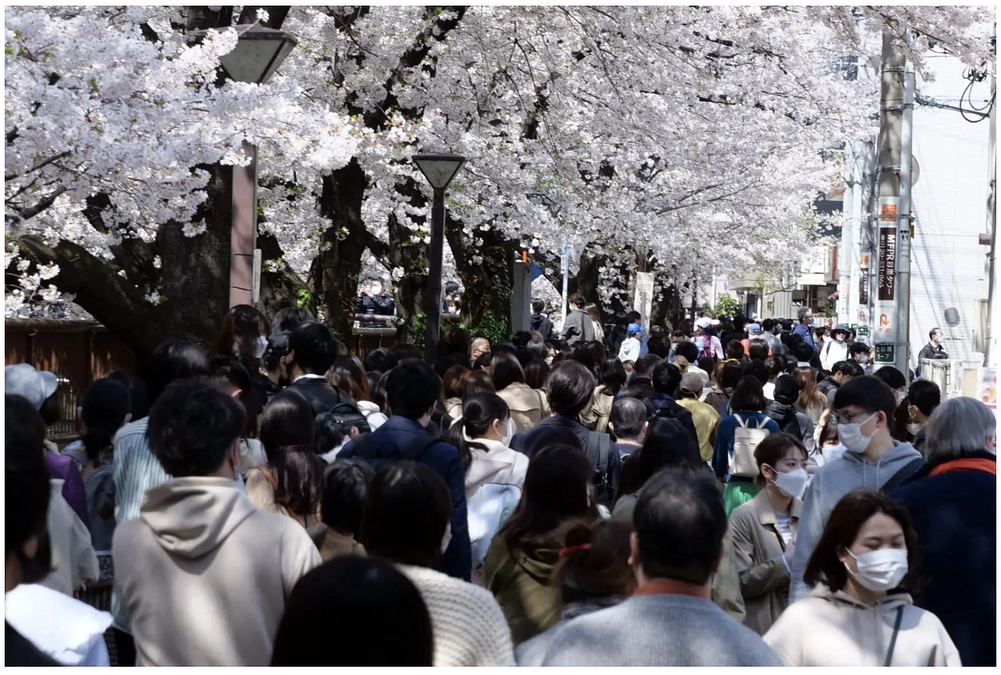 目黒区民センター北側敷地と公園敷地を使ってそれぞれ建蔽率６０％と１２％のビルが目一杯に建設された場合