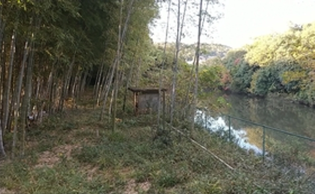 京都·嵯峨嵐山、歴史的風土特別保存地区の非公開私有地内で女子ソロor親子デュオキャンプ１泊する権利