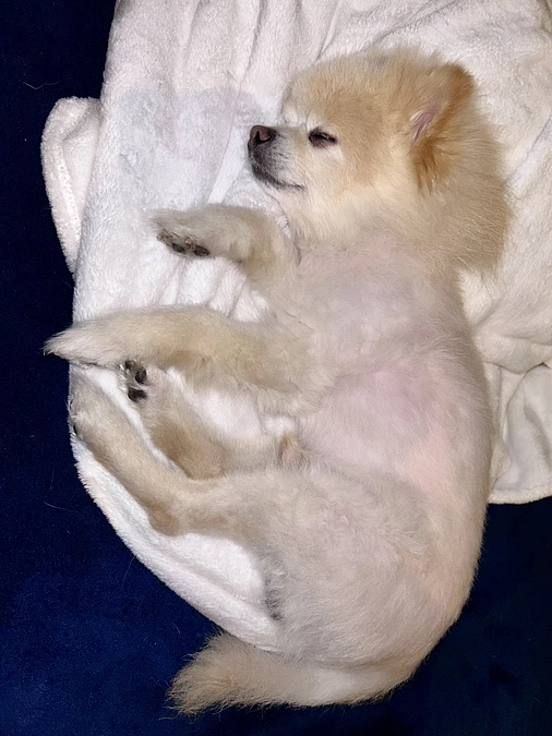 18/59 ☆ 見守られている僕