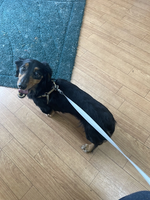 4月6日　治療日