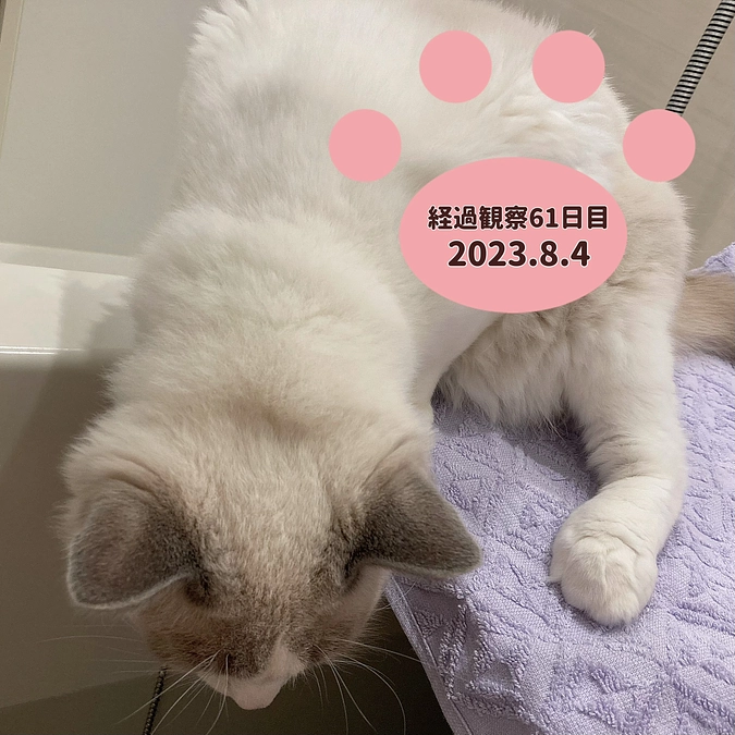 経過観察61日目(2023.8.4)