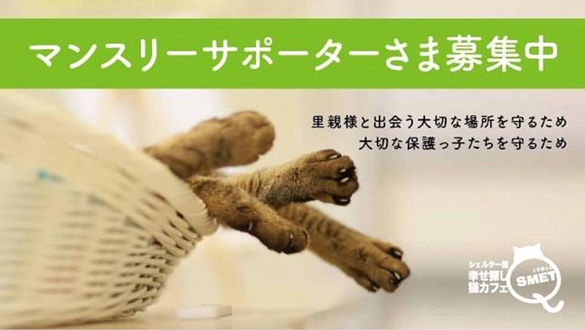 マンスリーサポーターさま募集開始いたしました。