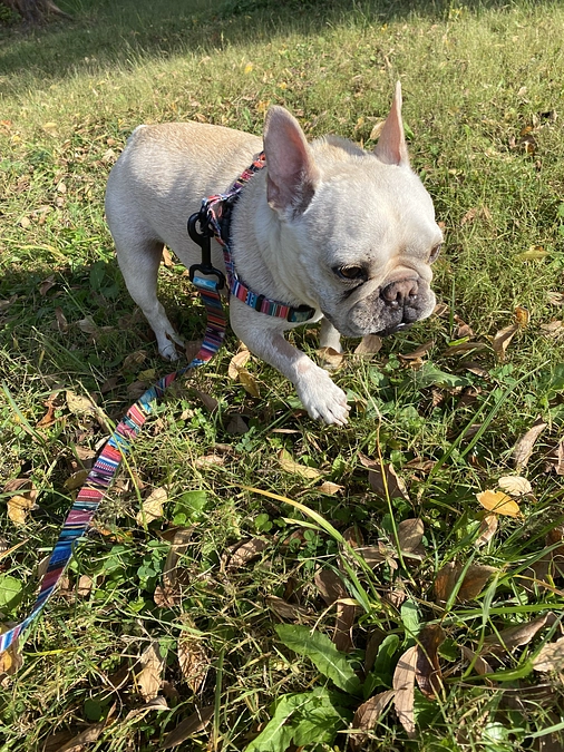 御礼メールが送れない方がいらっしゃいます。