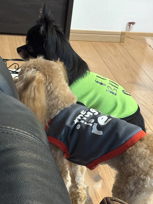 １１月１８日のゆむ君