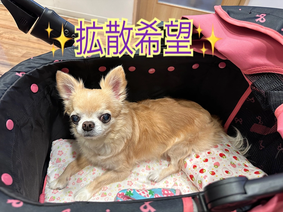 定期検査～スタートダッシュ最終日～