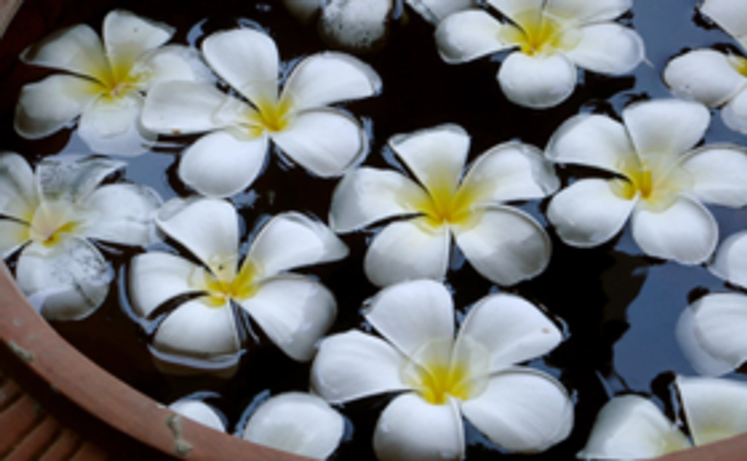 お礼状とA4額入り写真