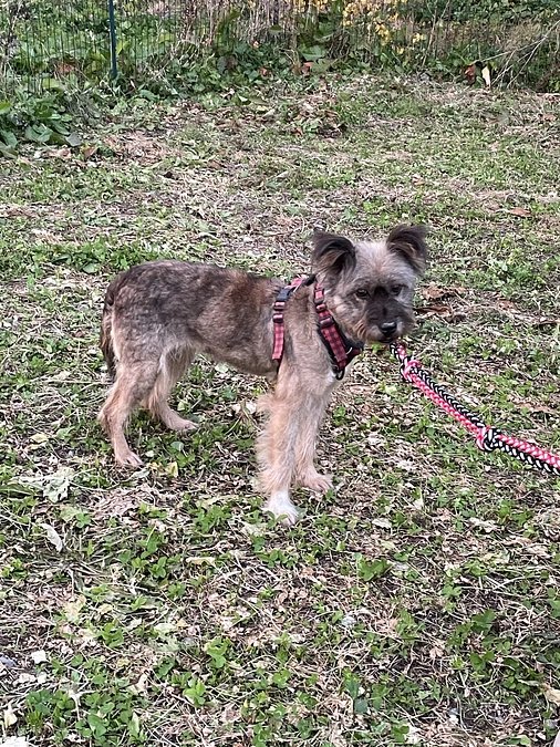 ぽにこやって来た！