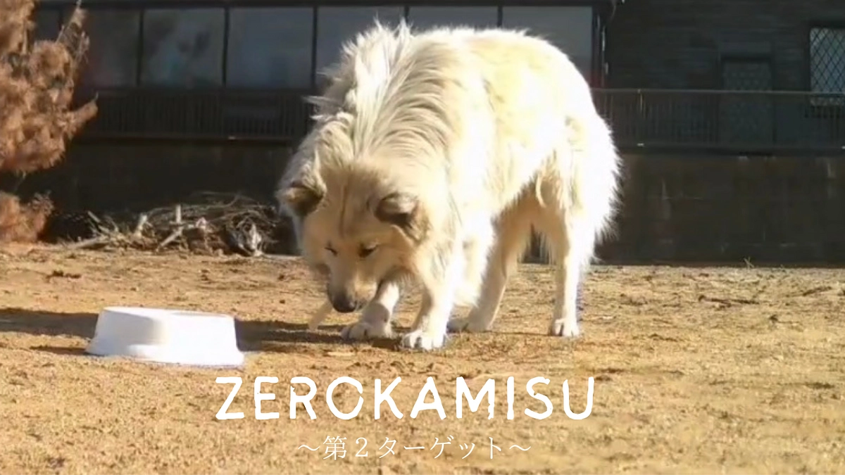 -ZEROKAMISU-第２ターゲット「律」