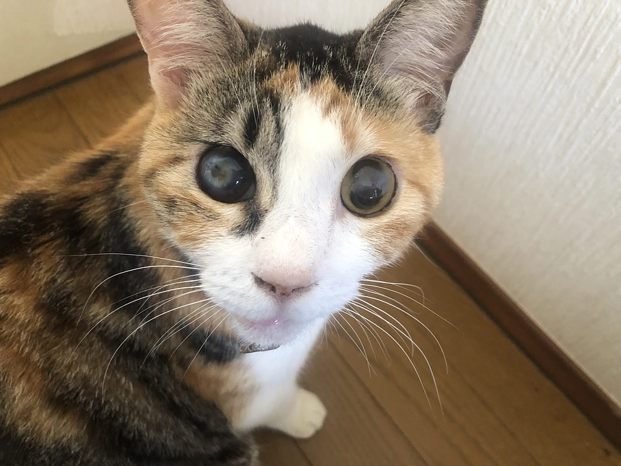 経過報告◆3週目