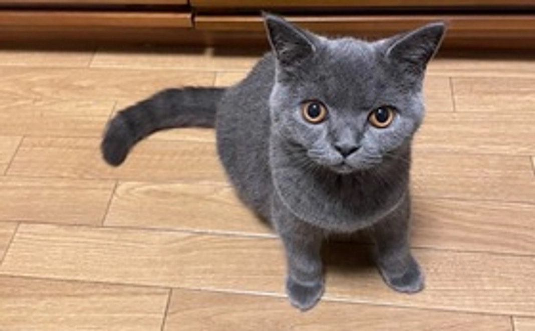 もぐ全額応援(リターン不要）1,000円