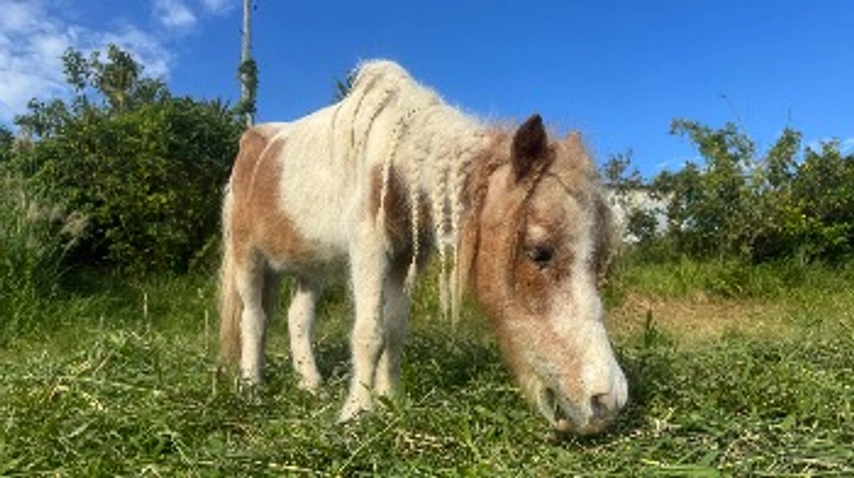 ご参加に感謝いたします！
