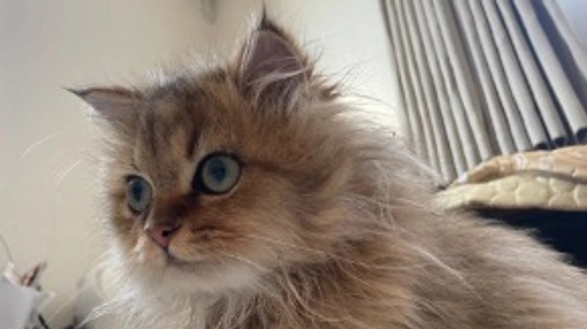 経過観察に入りました！