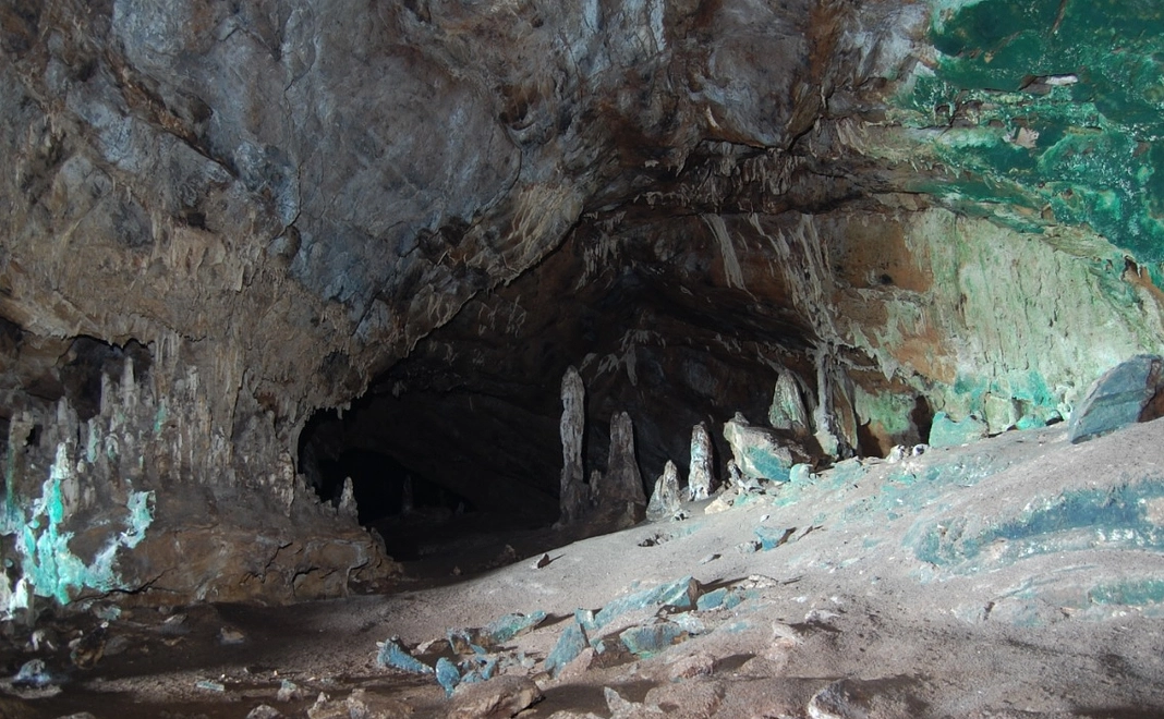 お気持ち応援コース