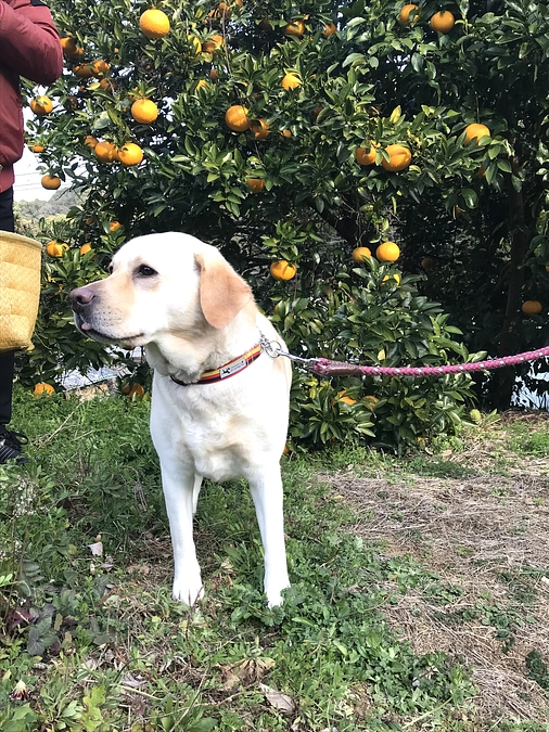 インスタグラムで海瀬家住宅について投稿中