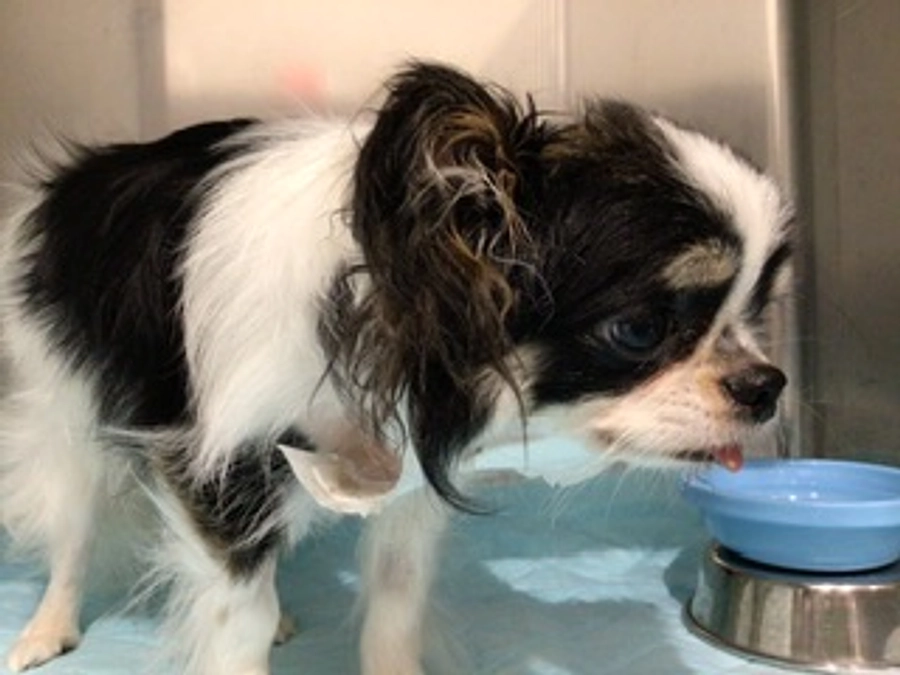 07月14日のたぁ坊