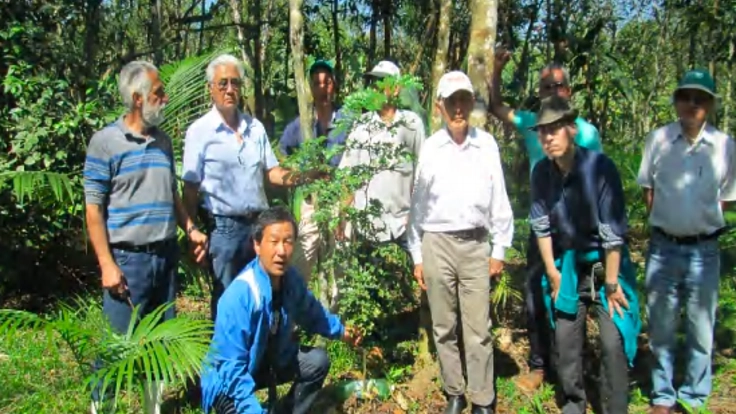 森林違法伐採防止と森林再生事業を継続へ！