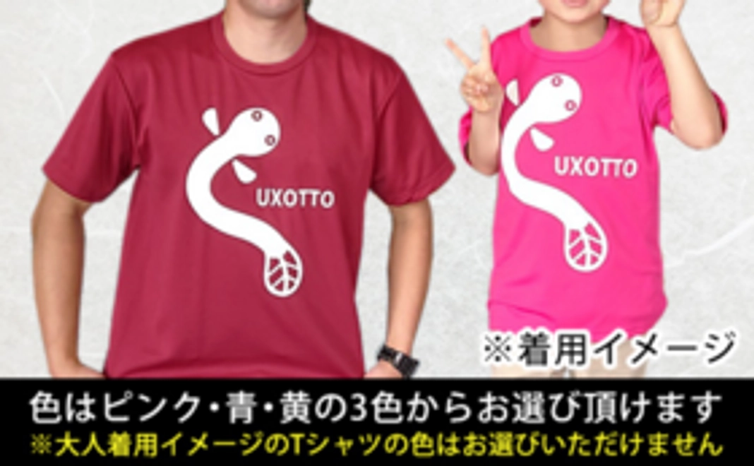 浜名湖体験学習施設ウォットのうなぎTシャツ親子セット