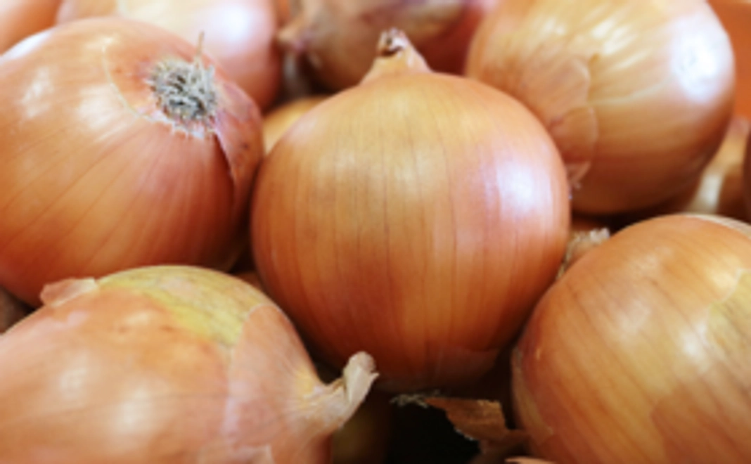 蜜玉カレンダーと蜜玉3キロセット