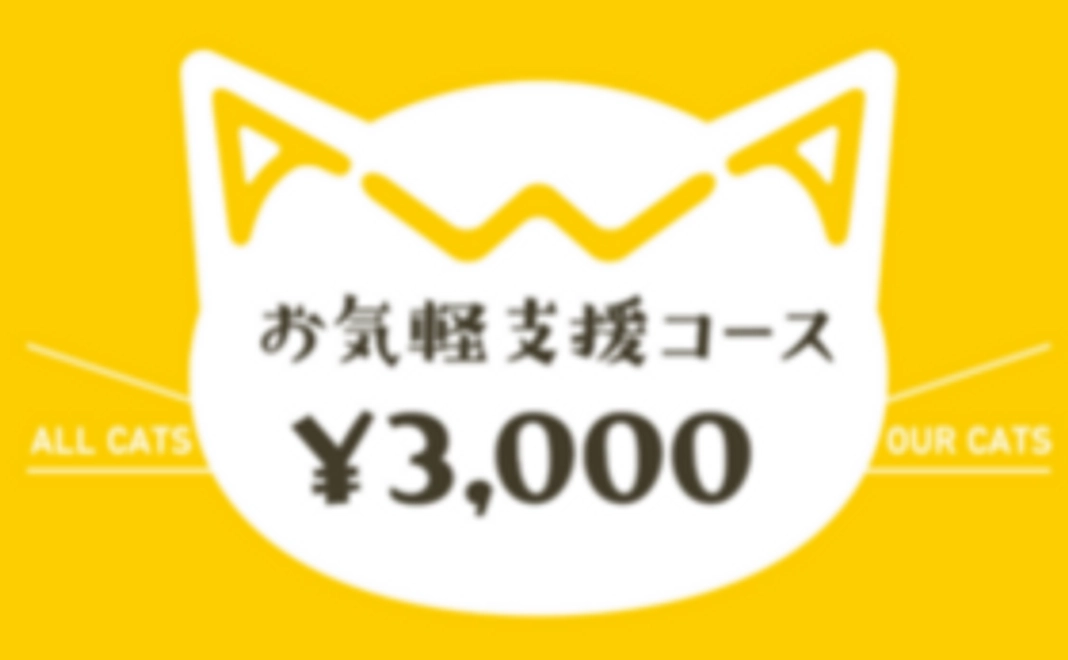 お気軽支援コース