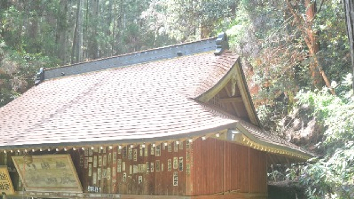 周辺設備の整備について