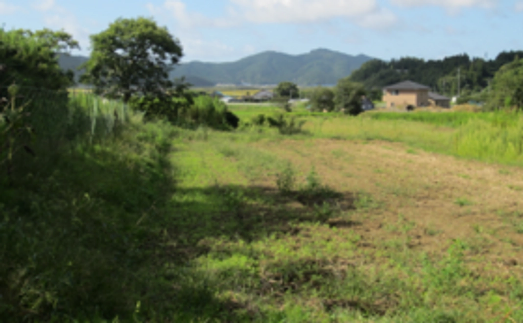 サンクスレター＋畑への命名＋お試しサプリ（5回分）