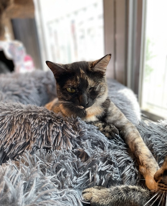 本格的に始動‼