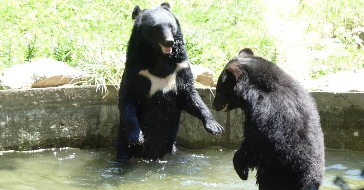 プロジェクトスタートから10日!!ご支援ありがとうございます!!