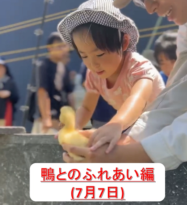 【第二回】鴨とのふれあい＆放田を開催いたしました！