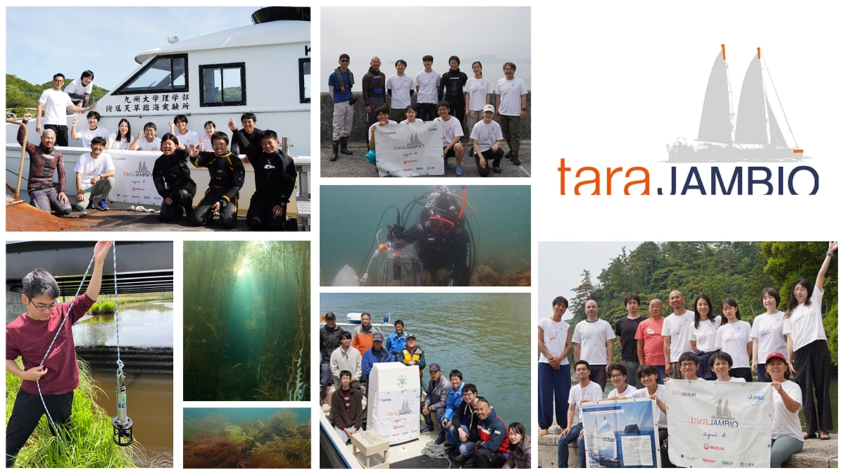 素敵なムービーが完成しました！Tara JAMBIO ブルーカーボンプロジェクト