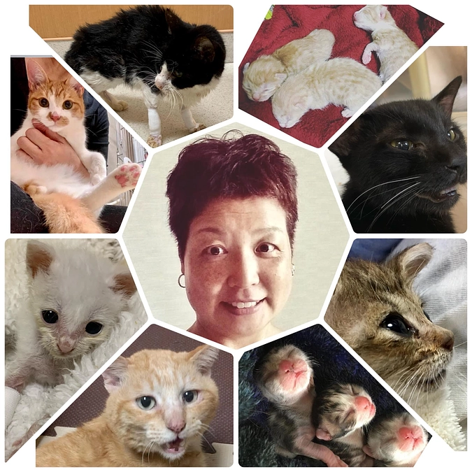 最後まできっと私を守ってくれてる子達♡ 