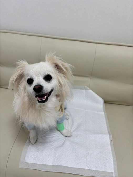 【面会の様子】順調に回復中🥹💓