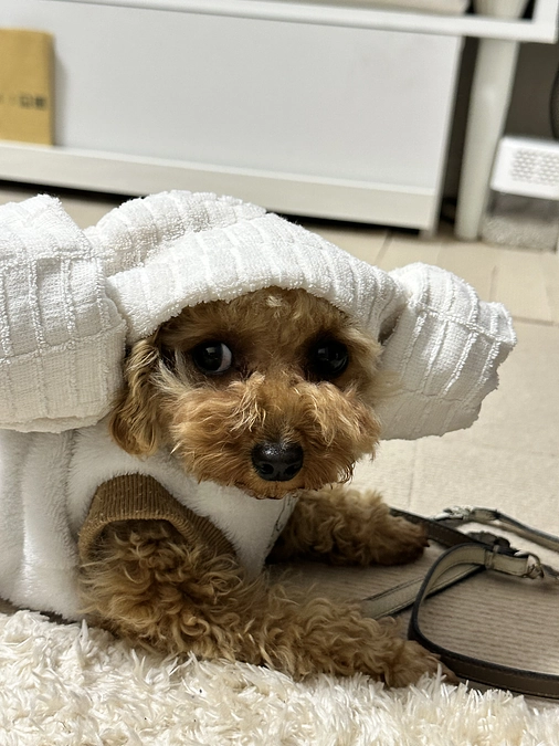 公開初日を迎えました