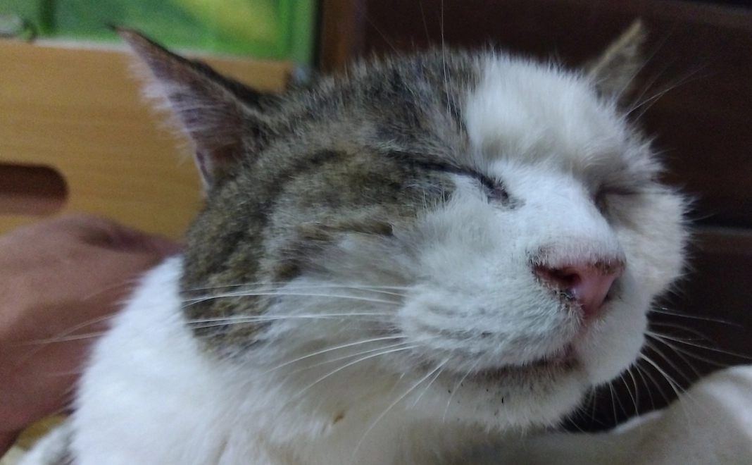 感謝メール(eメール活用)3