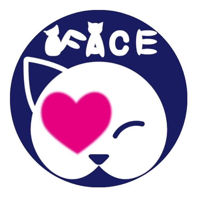 フェイス動物病院の進歩状況ご報告