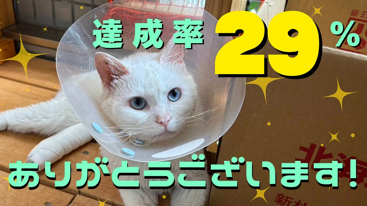 【感謝】達成率29％ありがとうございます！！