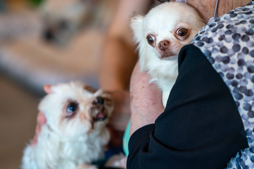 【850万突破！】いただいたあたたかい応援コメントを紹介します！