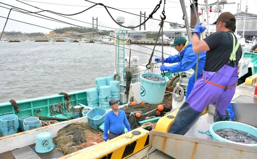 SOMA BLUE 卒業祝いプロジェクト：漁師が選ぶ鮮魚セット