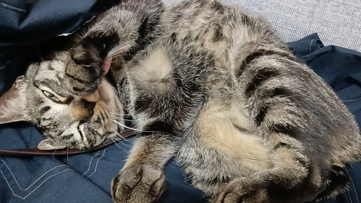 支援金　１，０００円枠を追加します。そして困った！