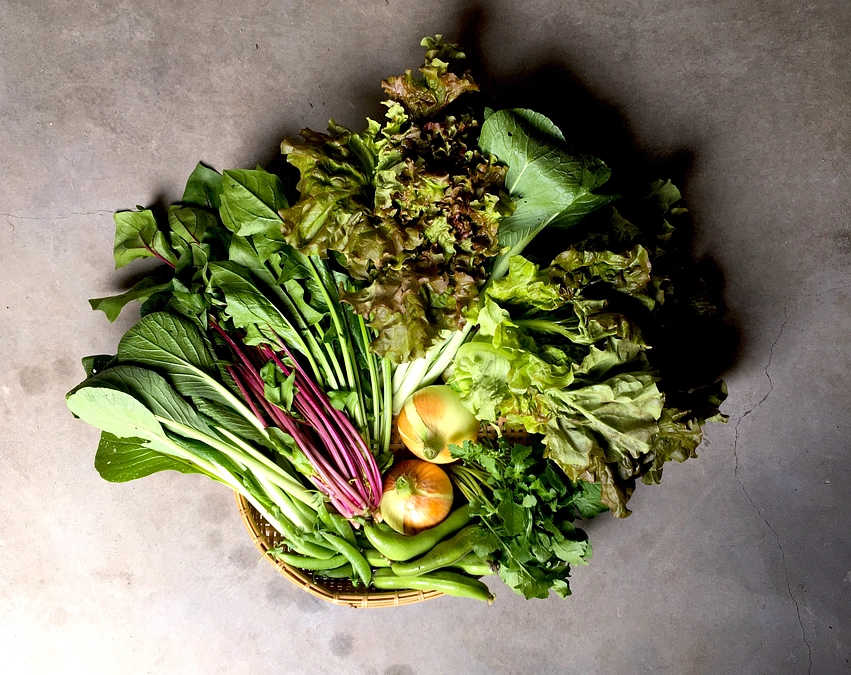 一押し返礼品「つくだ農園の有機野菜10品BOX」について