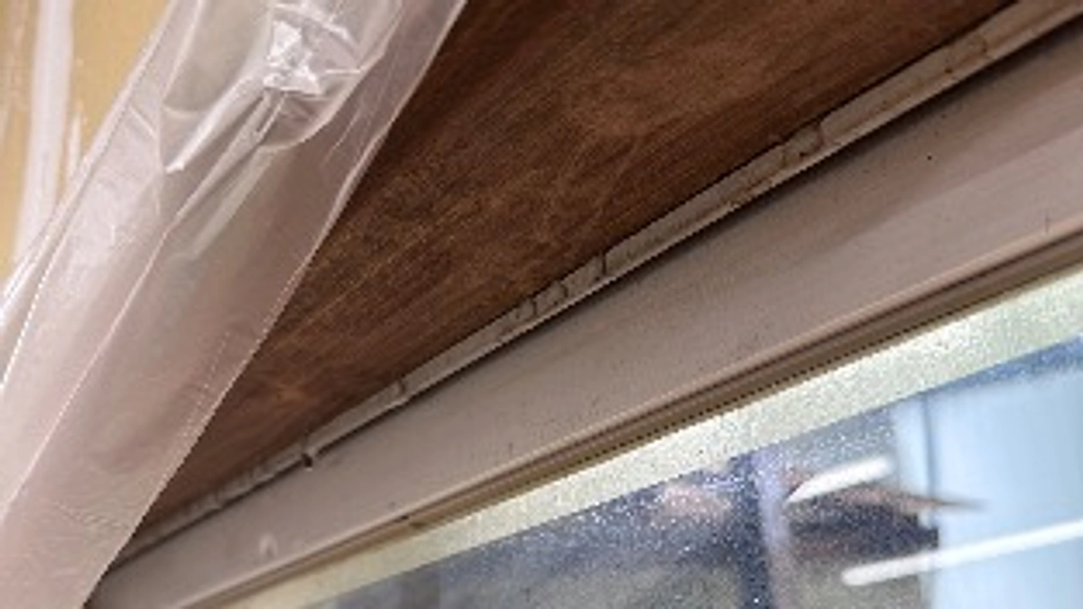 応援してくれている皆様ごめんなさい