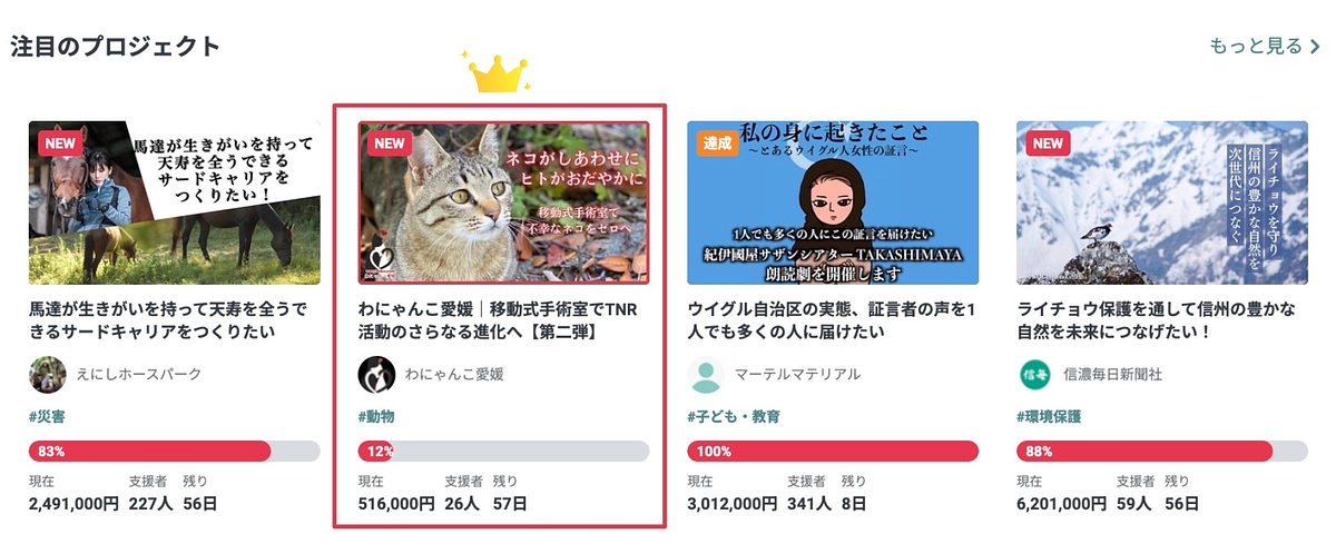 【祝！注目のプロジェクトに掲載されました！】皆様の応援のおかげです。引き続き頑張ります‼️