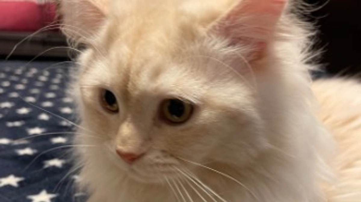 今日のトキ☀️☔️