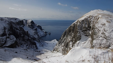 冬の礼文島を知ってもらいたい のトップ画像