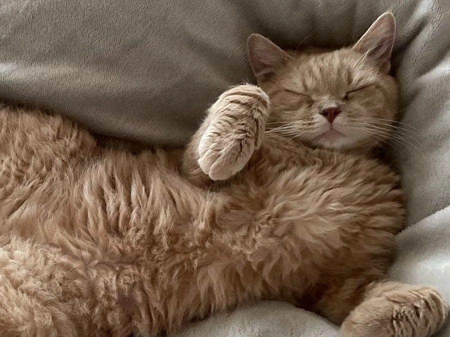 2025年11月1日。残り26日。