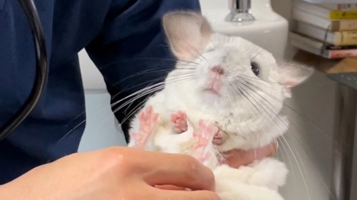 【ご支援報告③】ご支援ありがとうございます！｜株式会社アキュレート様のご紹介