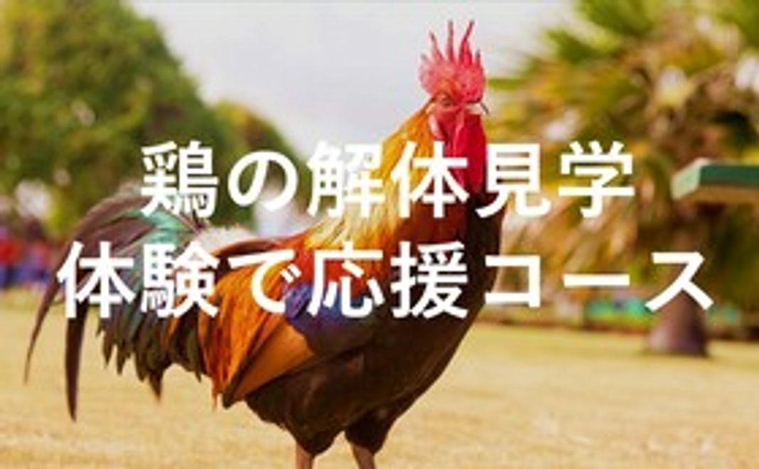 【体験で応援】鶏の解体見学体験(各会10人）招待状